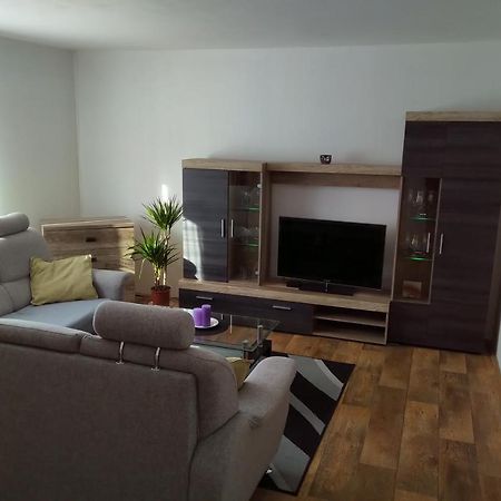 Apartman Pod Rickami Apartment Rokytnice v Orlickych Horach Ngoại thất bức ảnh
