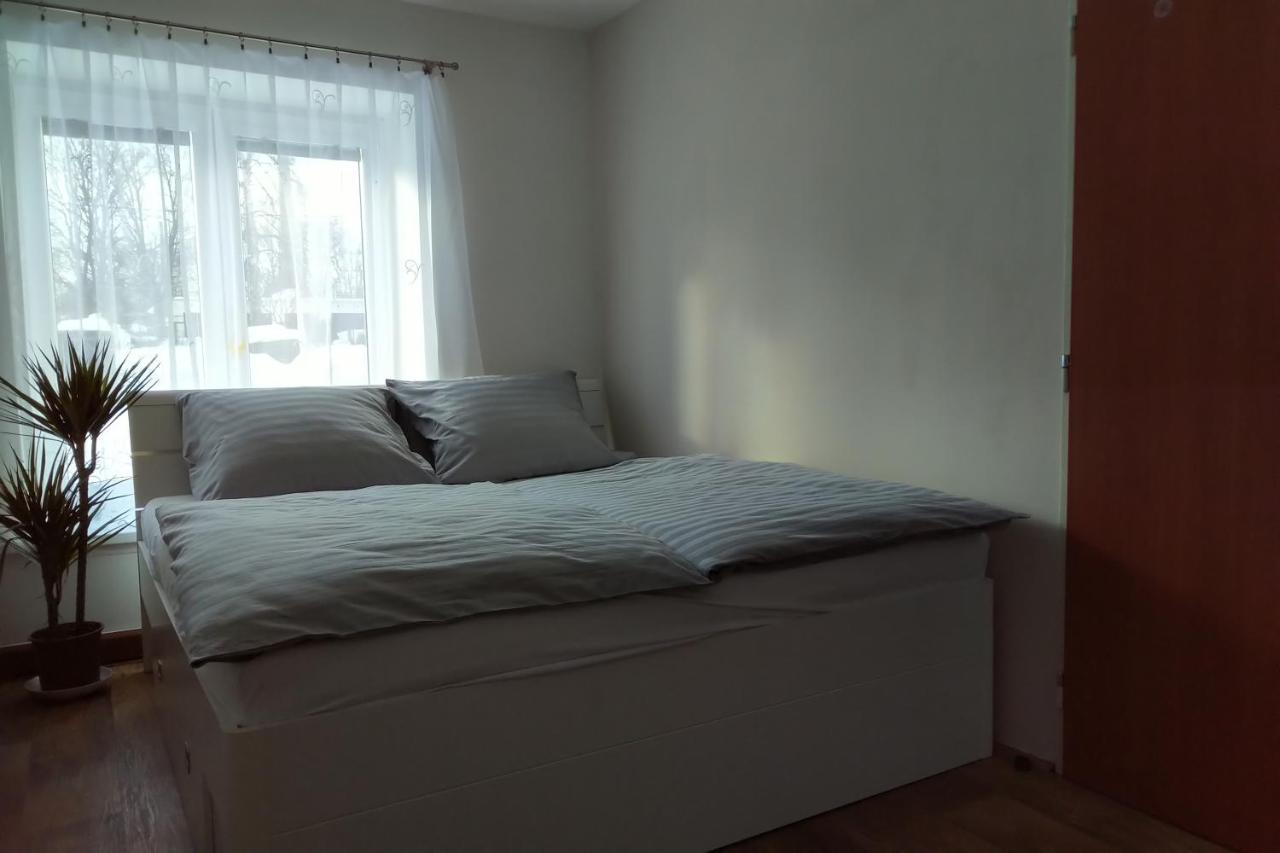 Apartman Pod Rickami Apartment Rokytnice v Orlickych Horach Ngoại thất bức ảnh