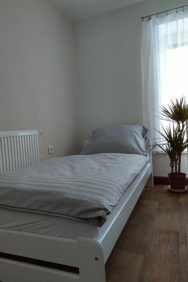 Apartman Pod Rickami Apartment Rokytnice v Orlickych Horach Ngoại thất bức ảnh