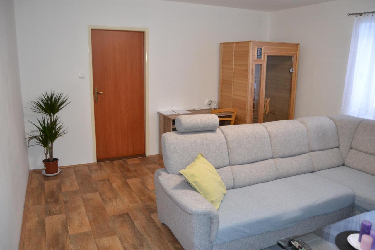 Apartman Pod Rickami Apartment Rokytnice v Orlickych Horach Ngoại thất bức ảnh