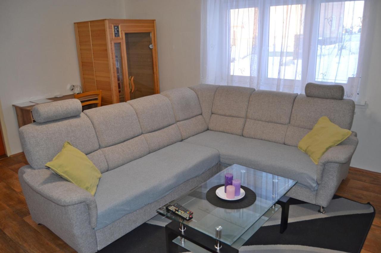 Apartman Pod Rickami Apartment Rokytnice v Orlickych Horach Ngoại thất bức ảnh